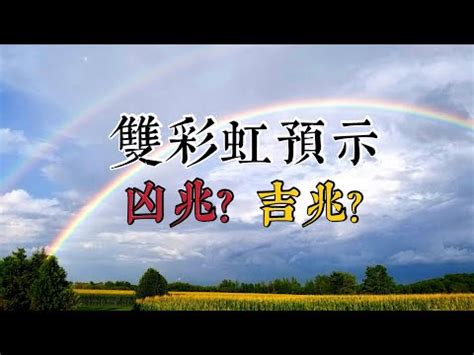 仙鶴 彩虹代表什麼